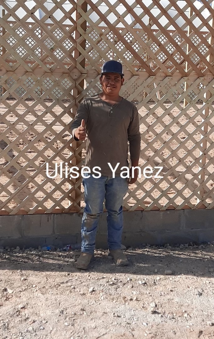 Ulises